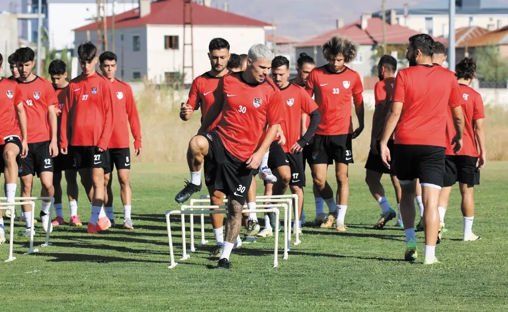 Vanspor